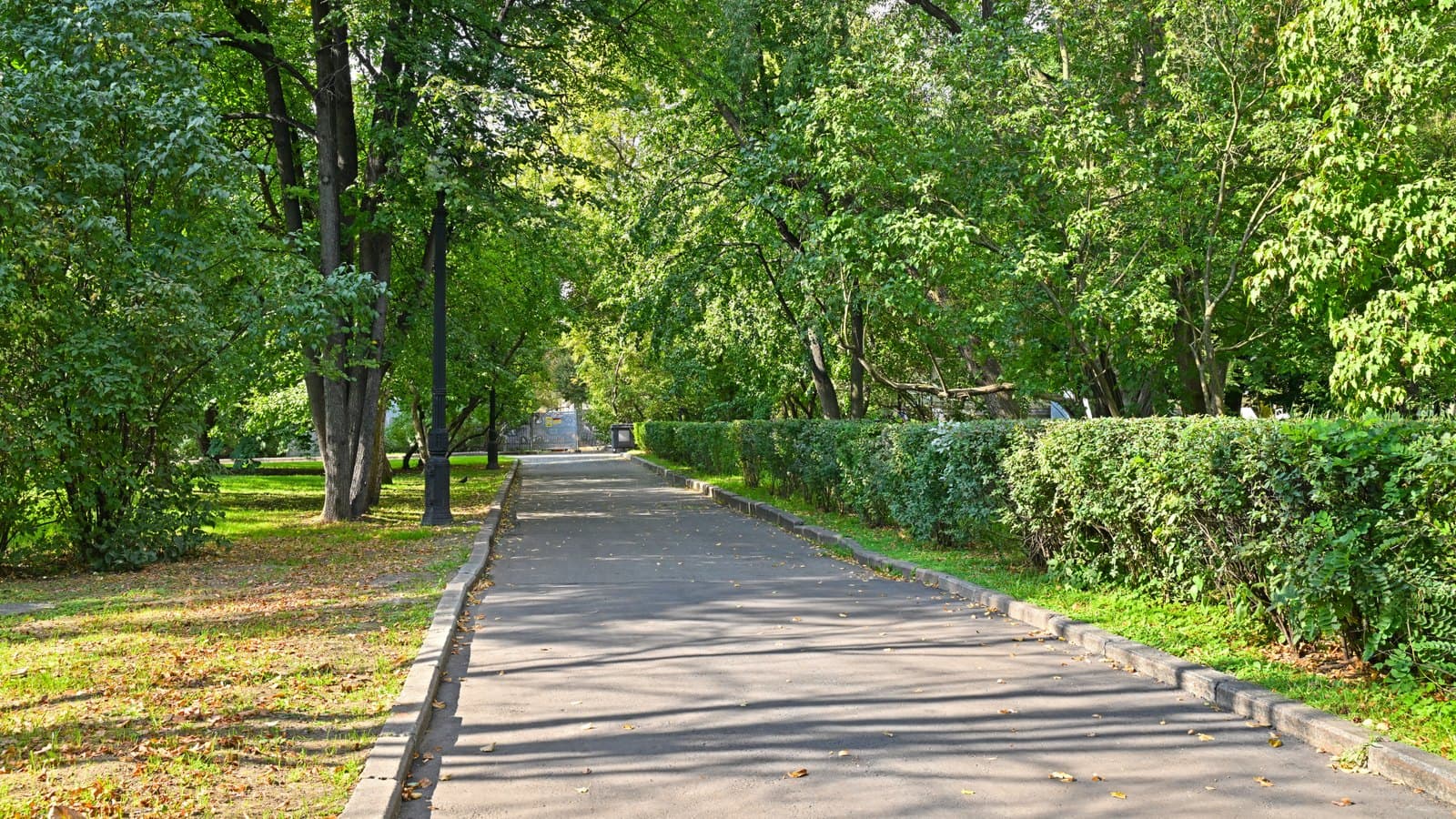 Ребёнок потерялся в парке: что делать в первые минуты
