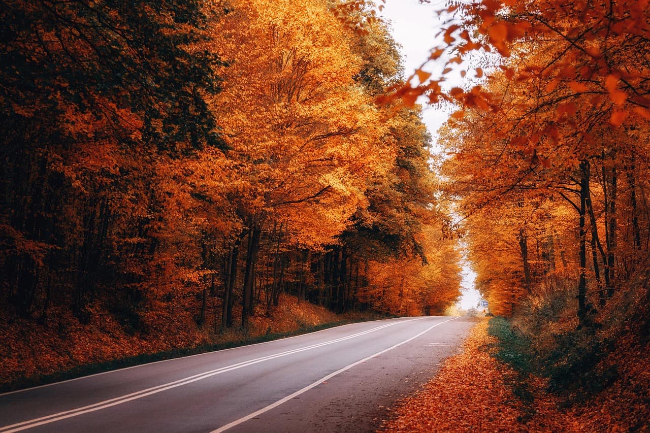 5 Ways to Enjoy Autumn in Moscow - Best Fall Activities and Sights