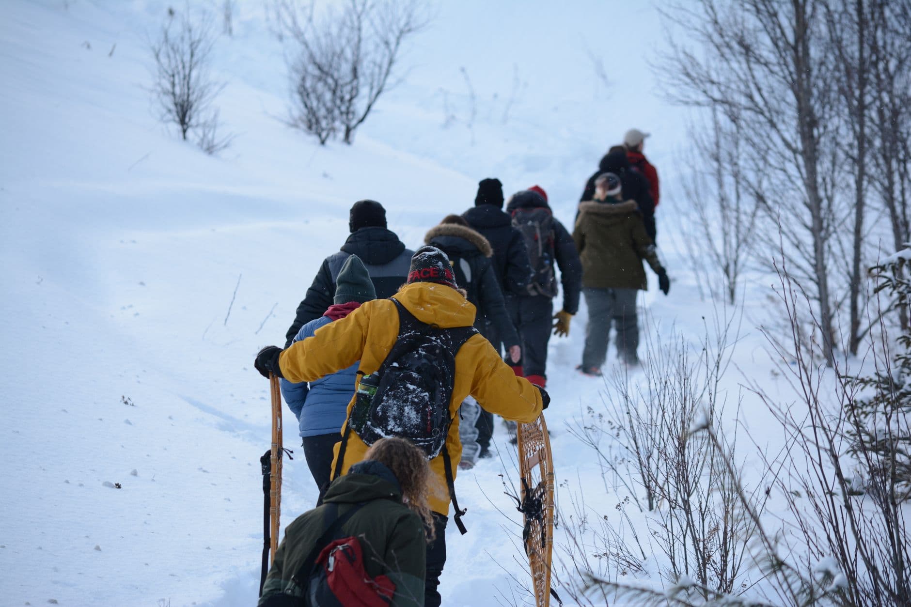 Best Places to Go Snowshoeing - Top Winter Destinations