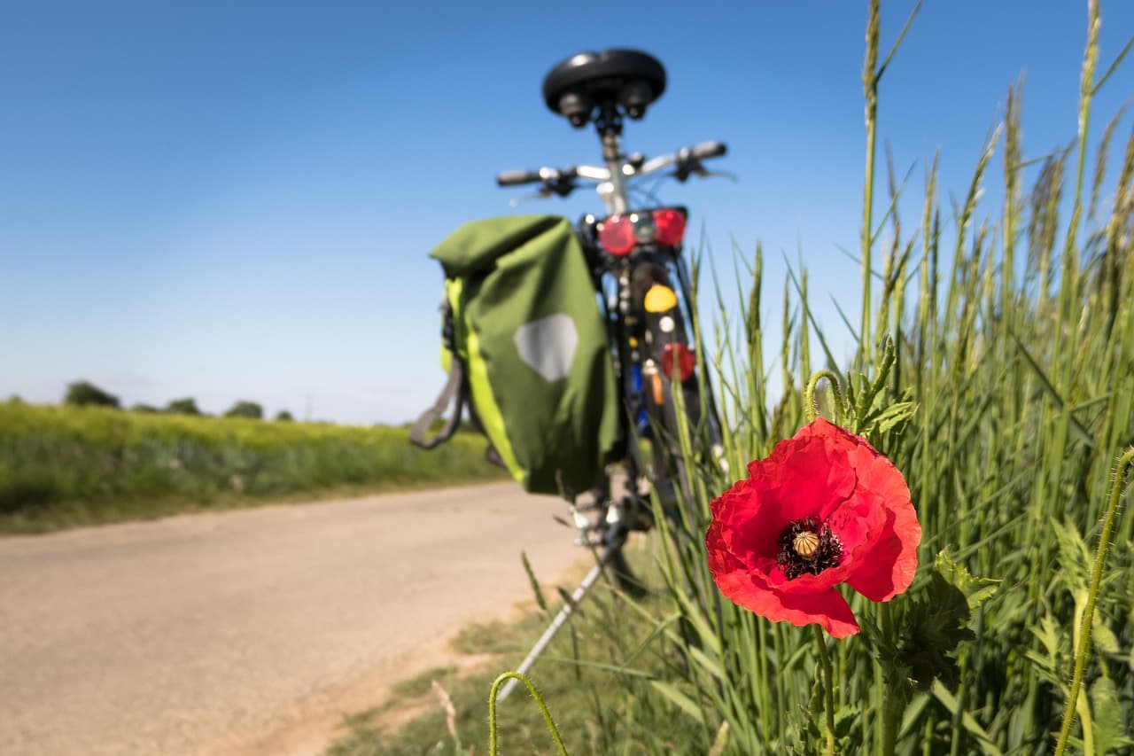 Bike Tours in Moscow - Best Guided City Cycling Tours