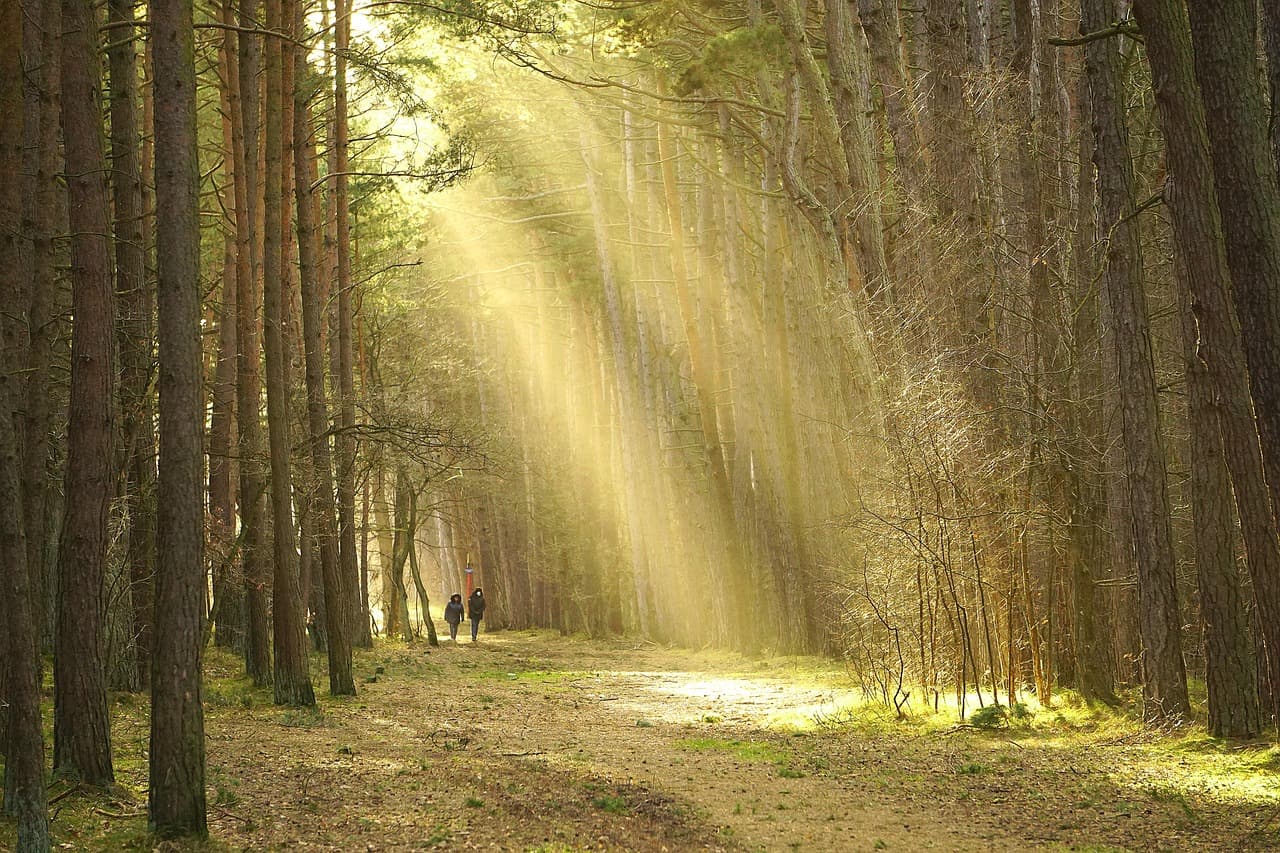 Easy Hikes and Walks in Moscow - Beginner-Friendly Trails and Parks