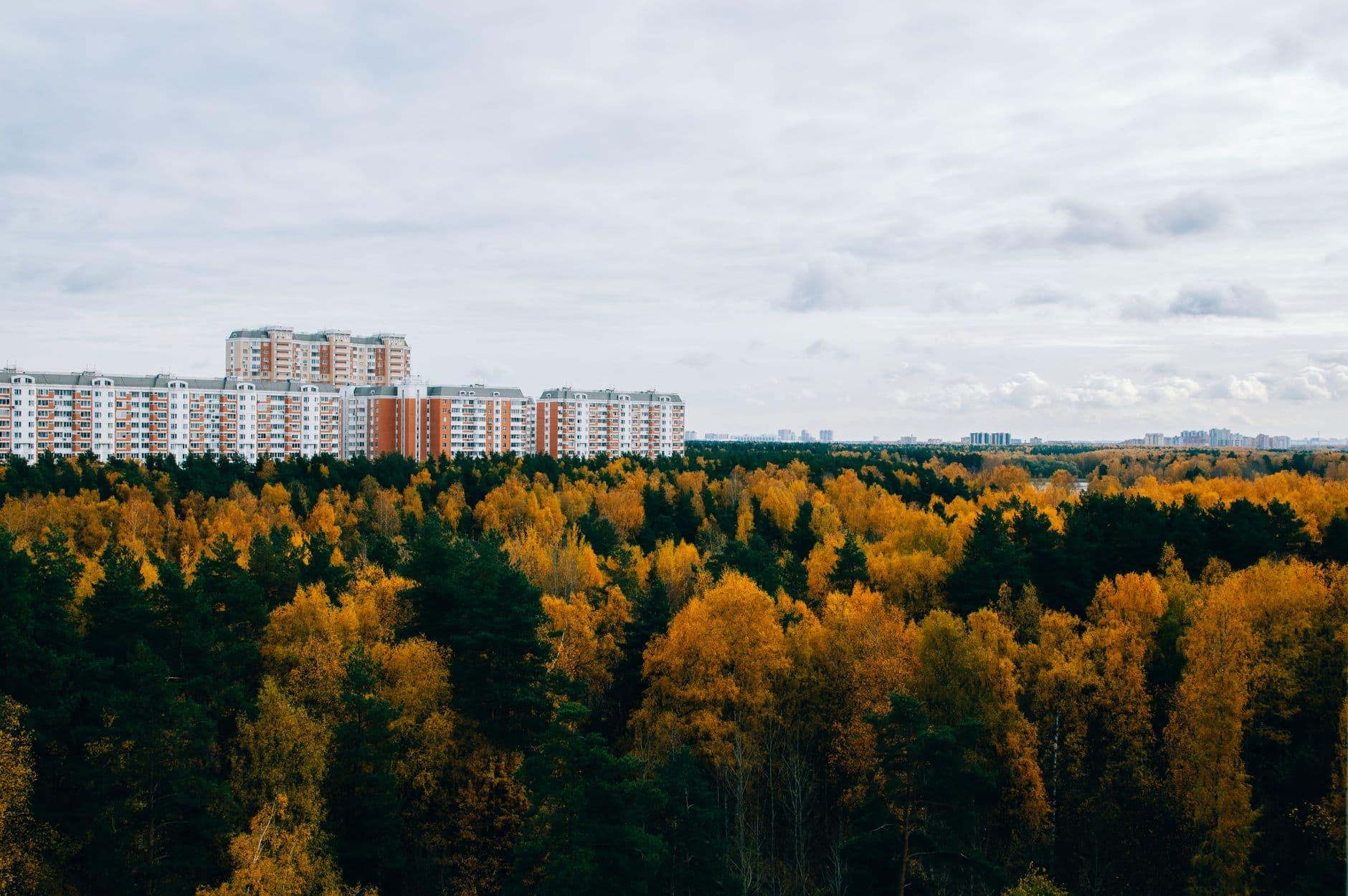 Explore Moscow Woods - Relish Nature at 14 Places