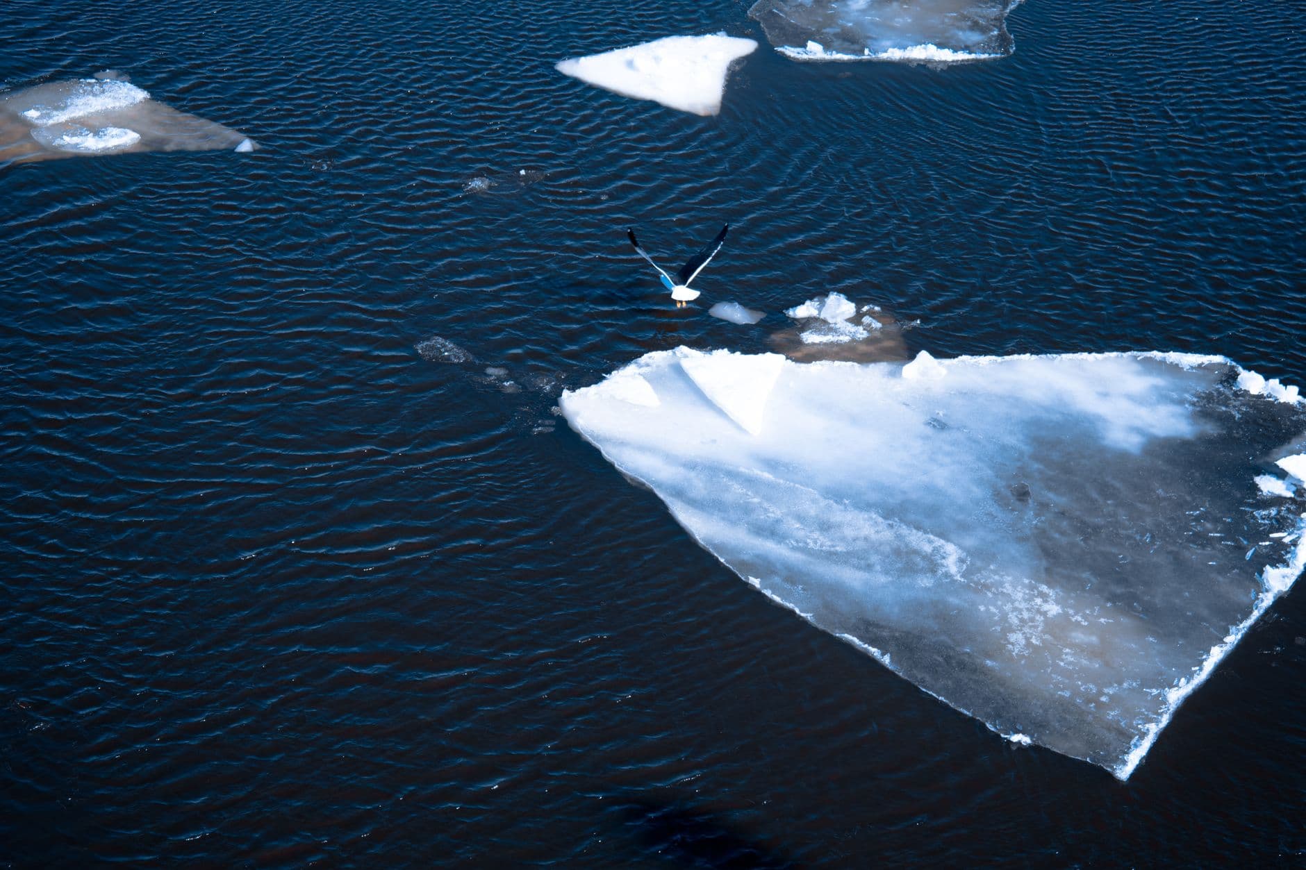 Hazardous Ice Phenomena in Rivers of the Russian Arctic Zone Under Current Climate Conditions - Implications for Water Use Safety