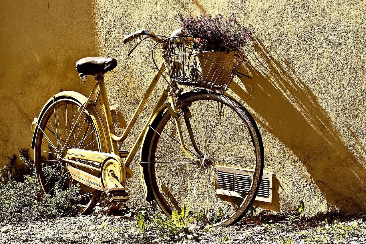 Exploring Moscow by Bike: Routes and Rentals