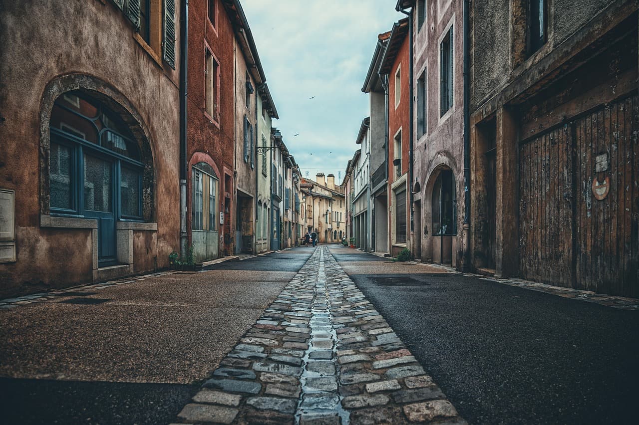 Most Beautiful Tree-Lined Alleys for Long Walks - Scenic Routes to Explore