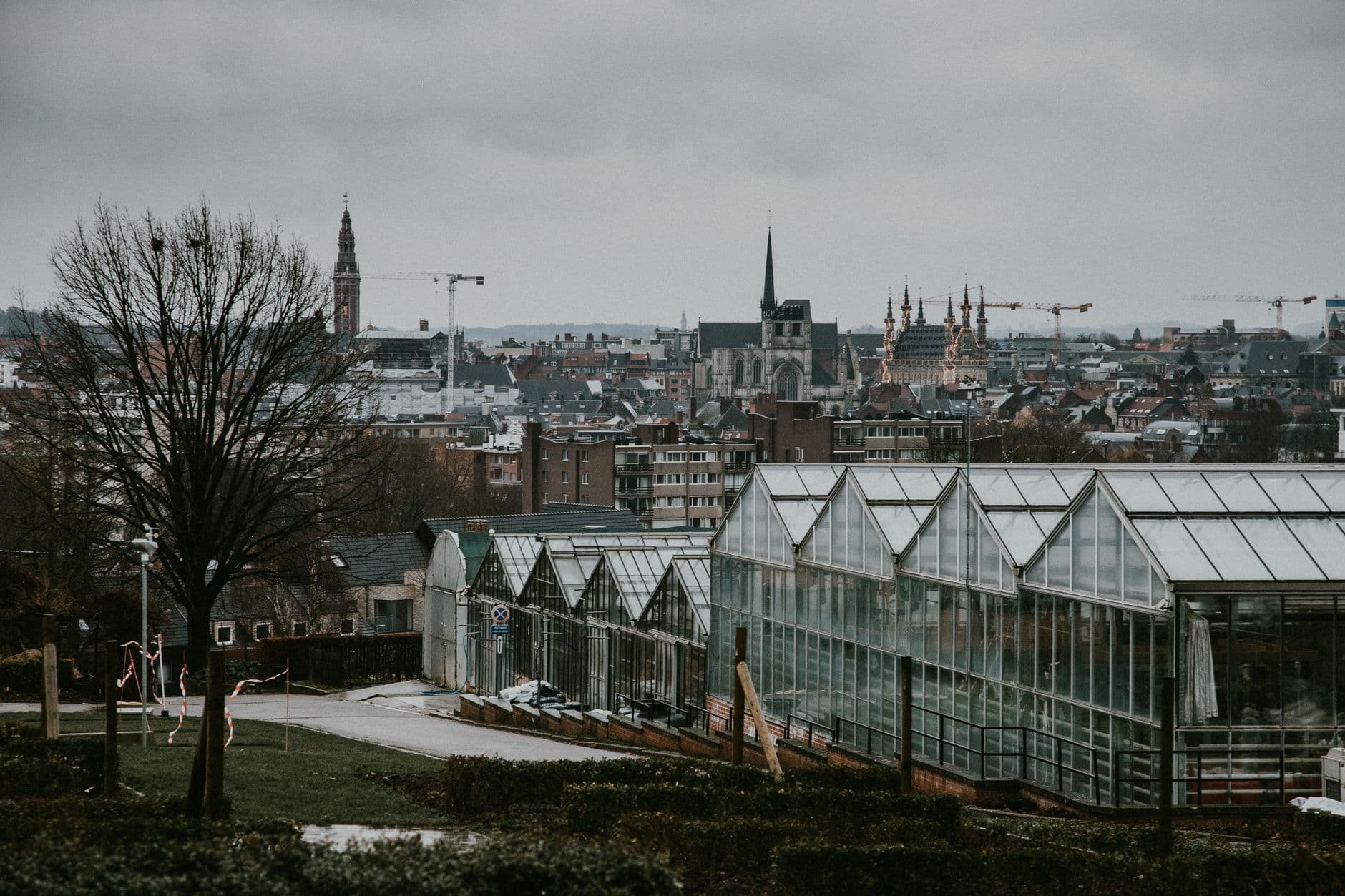 Most Scenic Greenhouses to Explore in Moscow