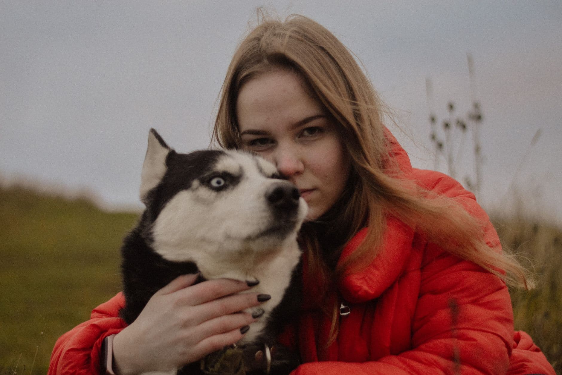 Pet-Friendly Hotels in Krasnodar, Russia - Top Picks for Travelers with Pets