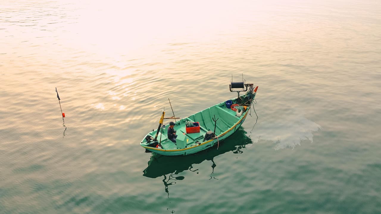 Quiet Fishing Spots in Moscow - Best Peaceful Angling Locations for Relaxation