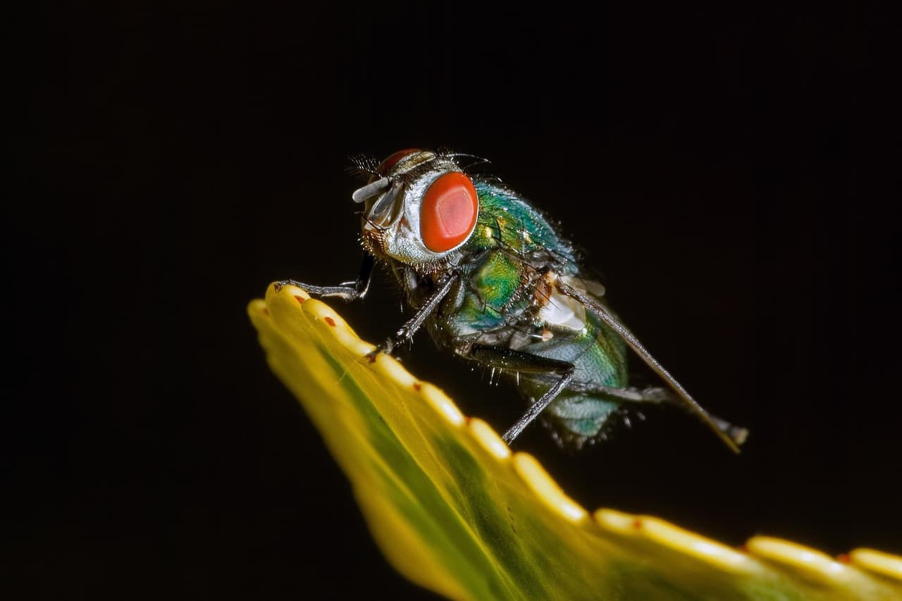 I Quartieri Segreti di Mosca Perfetti per i Visitatori alla Prima Volta: Una Guida per Principianti