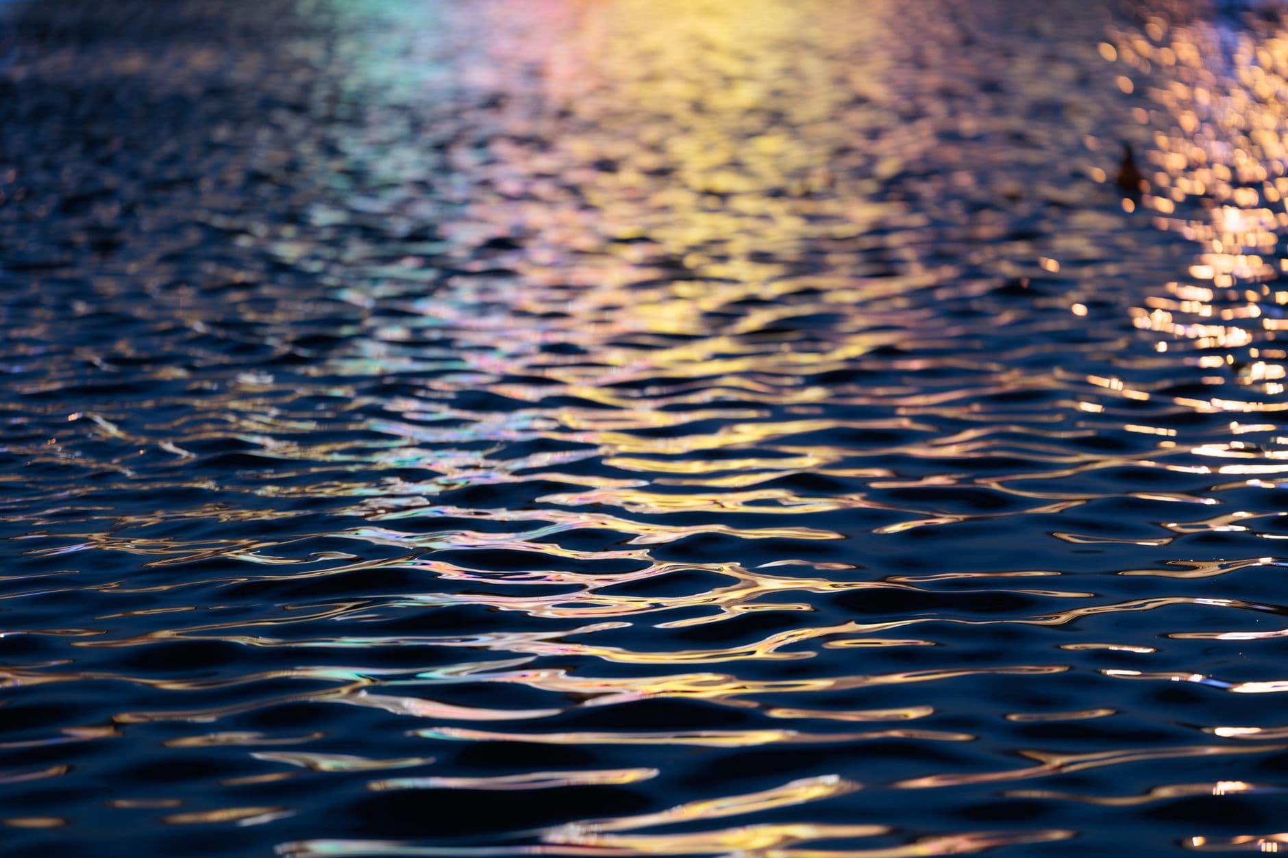 Walking on Water - Science, Faith, and Real-Life Stories Behind the Biblical Miracle