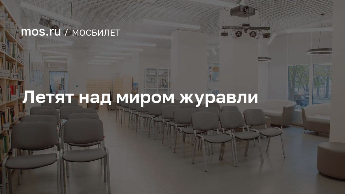 Летят над миром журавли, Библиотека № 225 имени М.Н. Задорнова