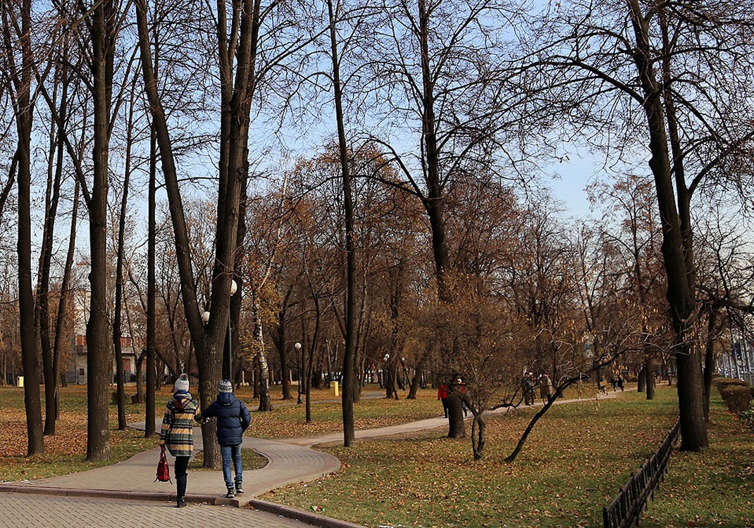 Аллея Петровского парка в конце октября.