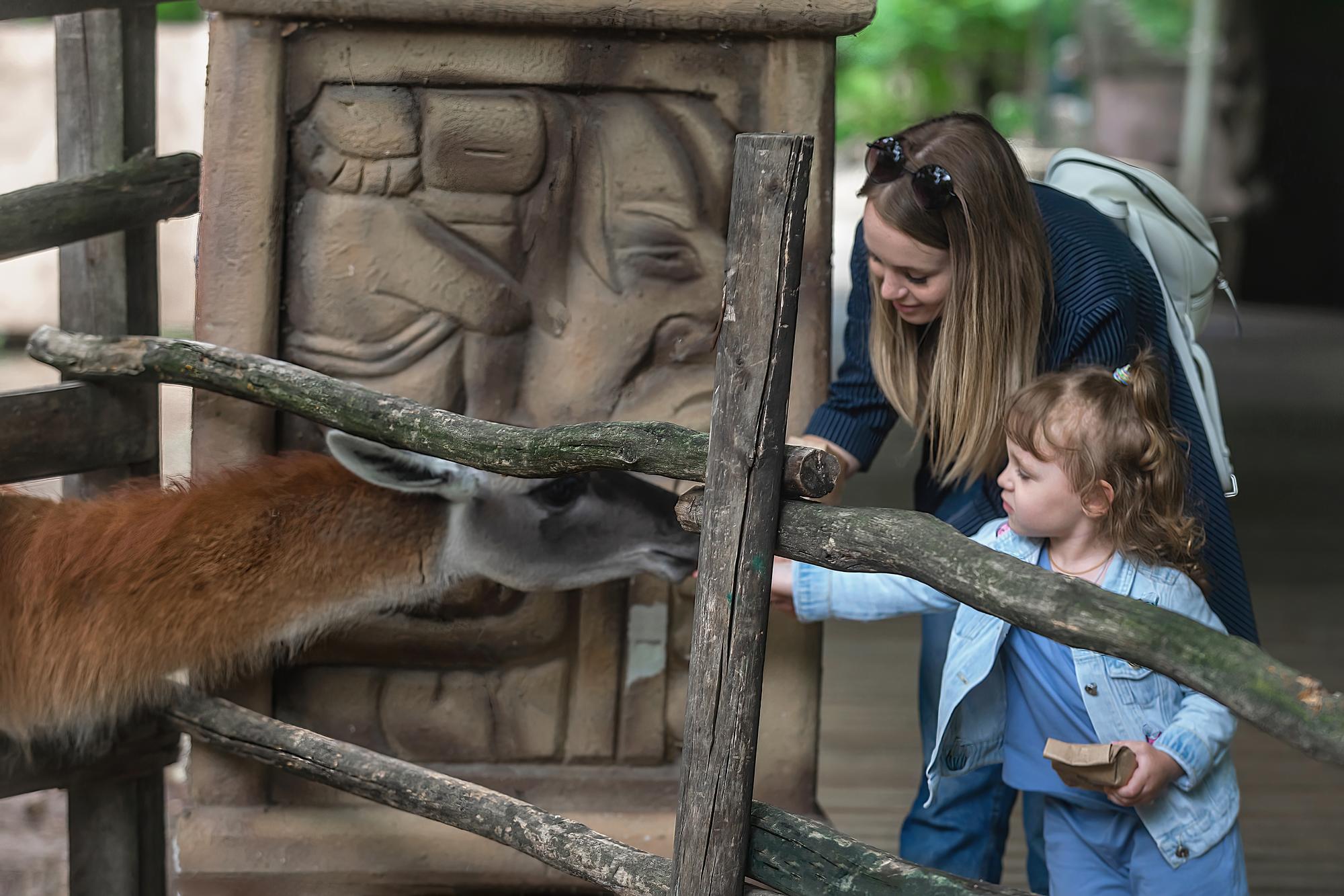 Moscow Zoo: Wildlife Education