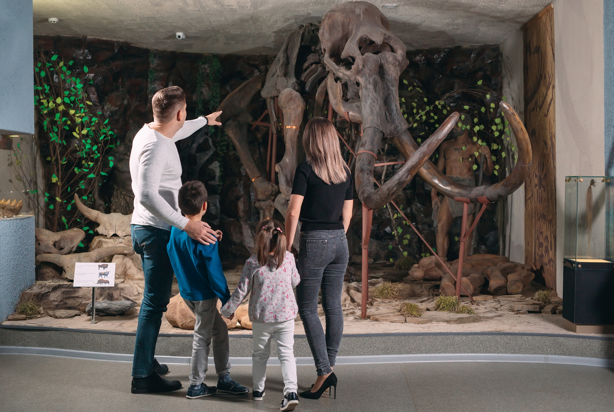 Top Family-Friendly Museums and Exhibits