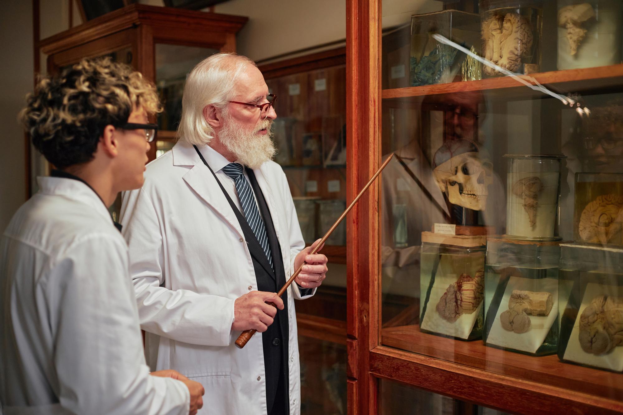 What the Hospital Pair Shows: subjects and historical context