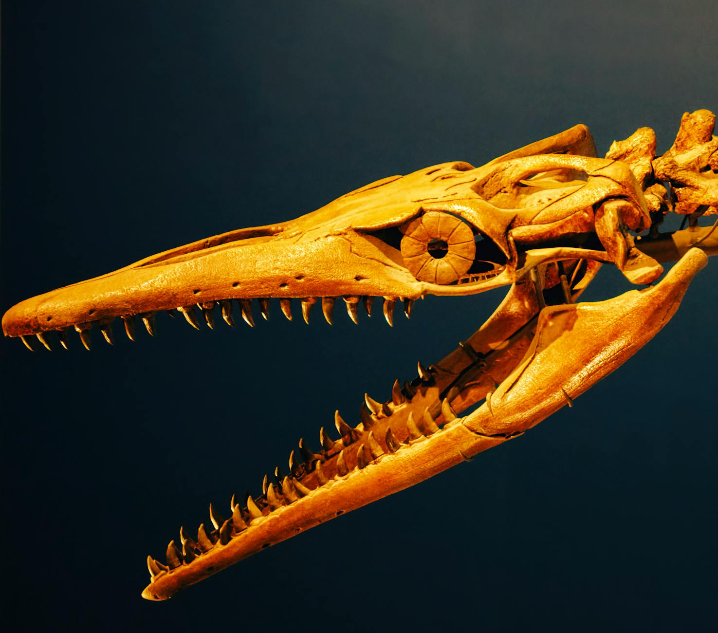 The Origins of Life at the Darwin Museum