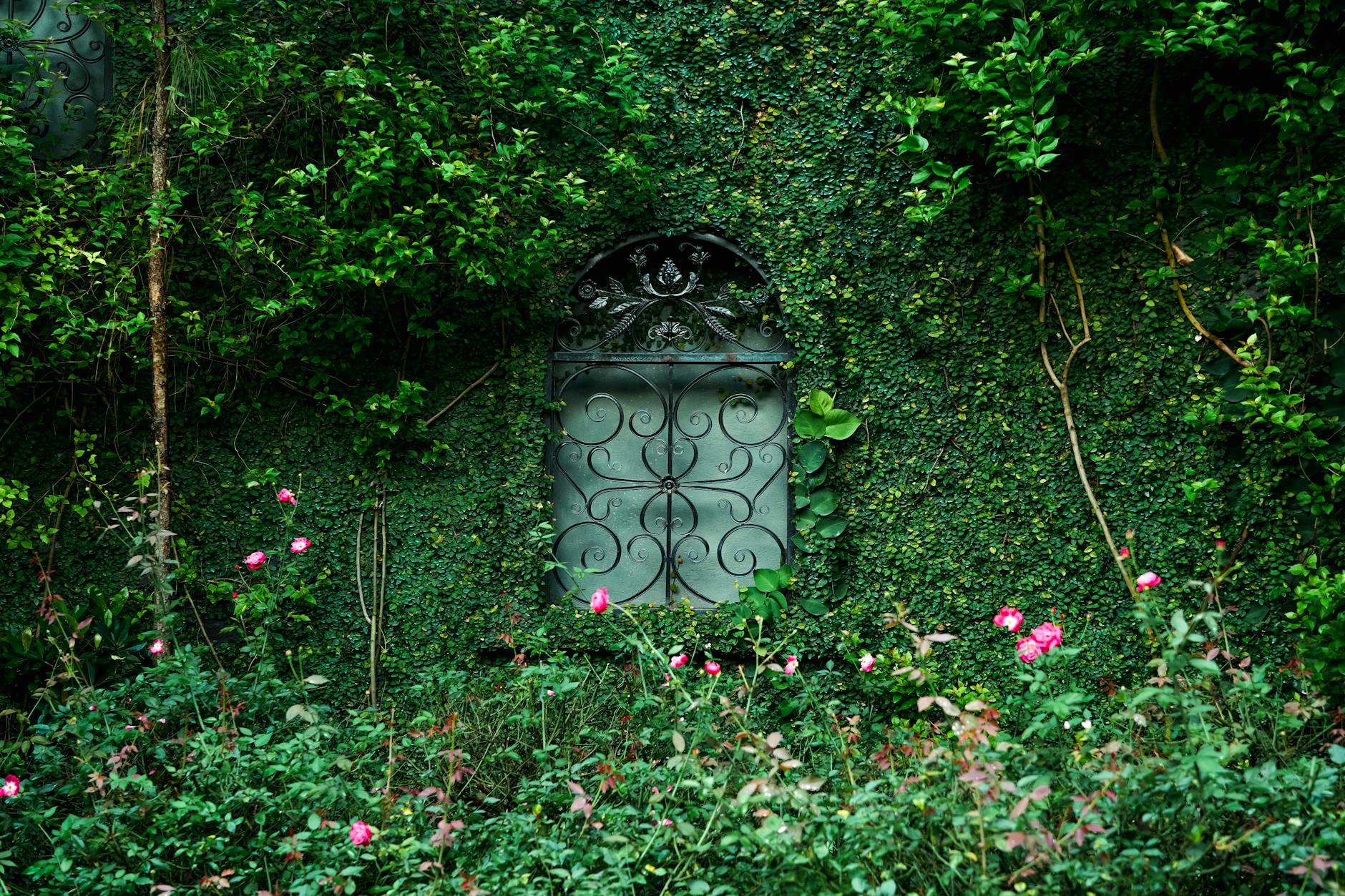 Hermitage Garden Serenity Tips