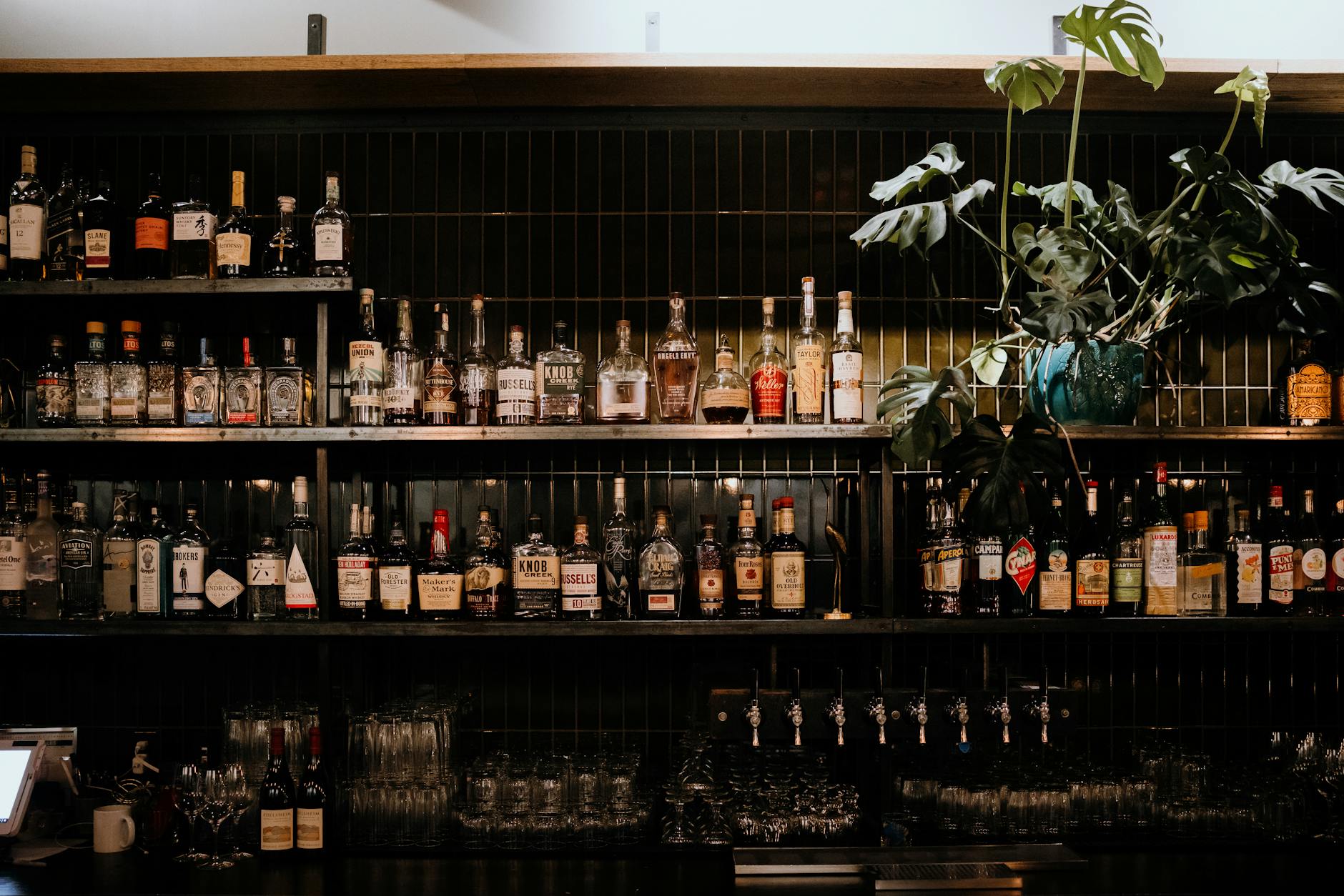Menu Transparency: Ingredient Lists, Allergen Info, and Sourcing