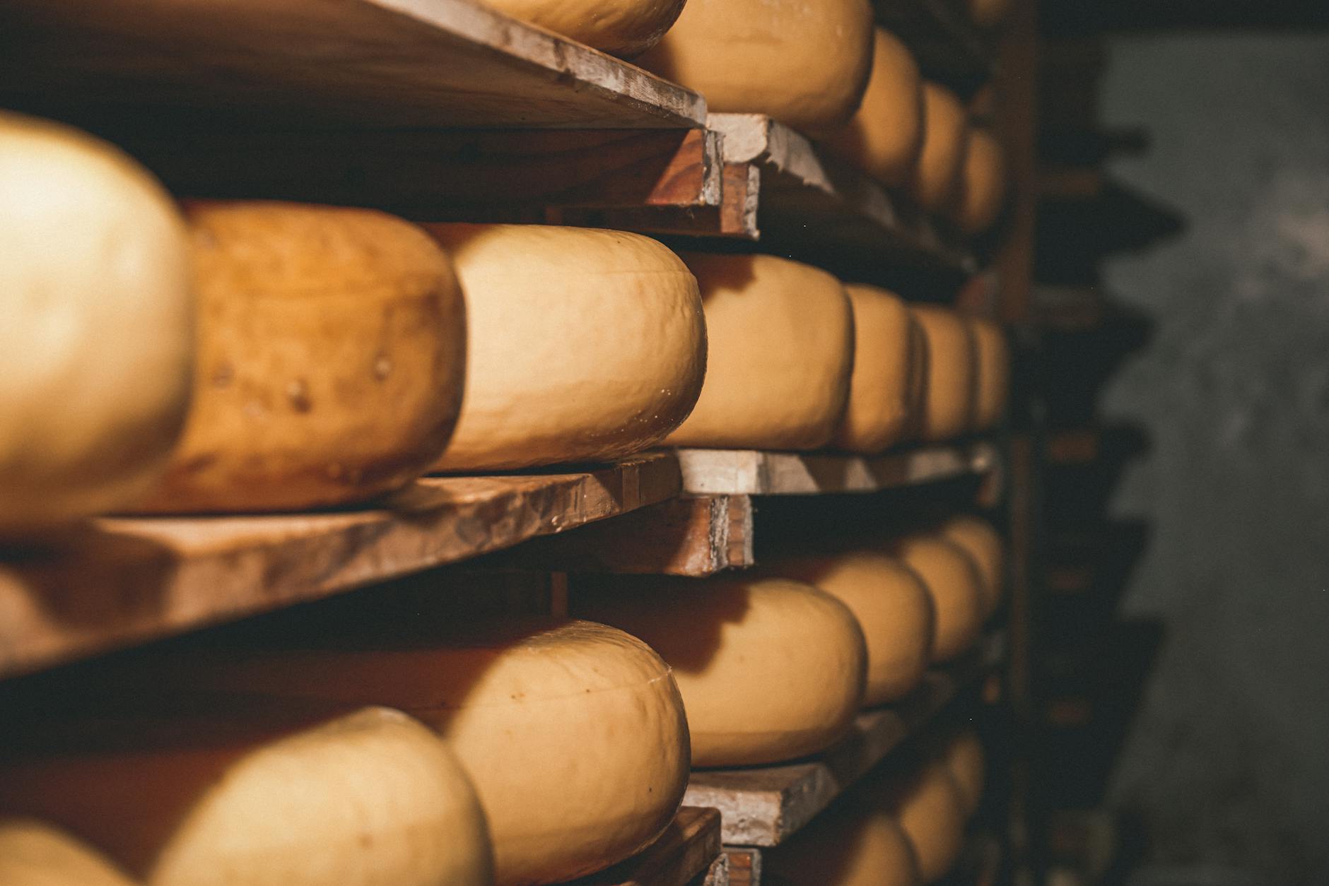 Dairy, Cheese & Farm Products: How to choose freshness and storage tips