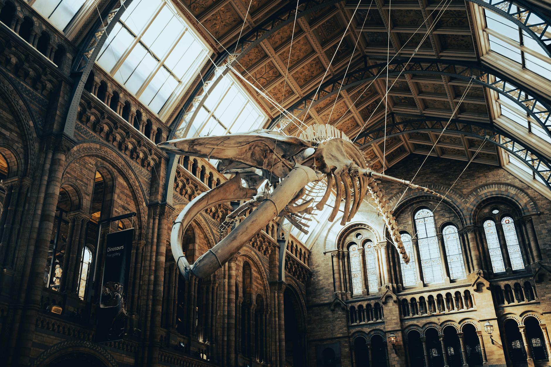Included Attractions: Which Landmarks and Museums Are Free or Discounted