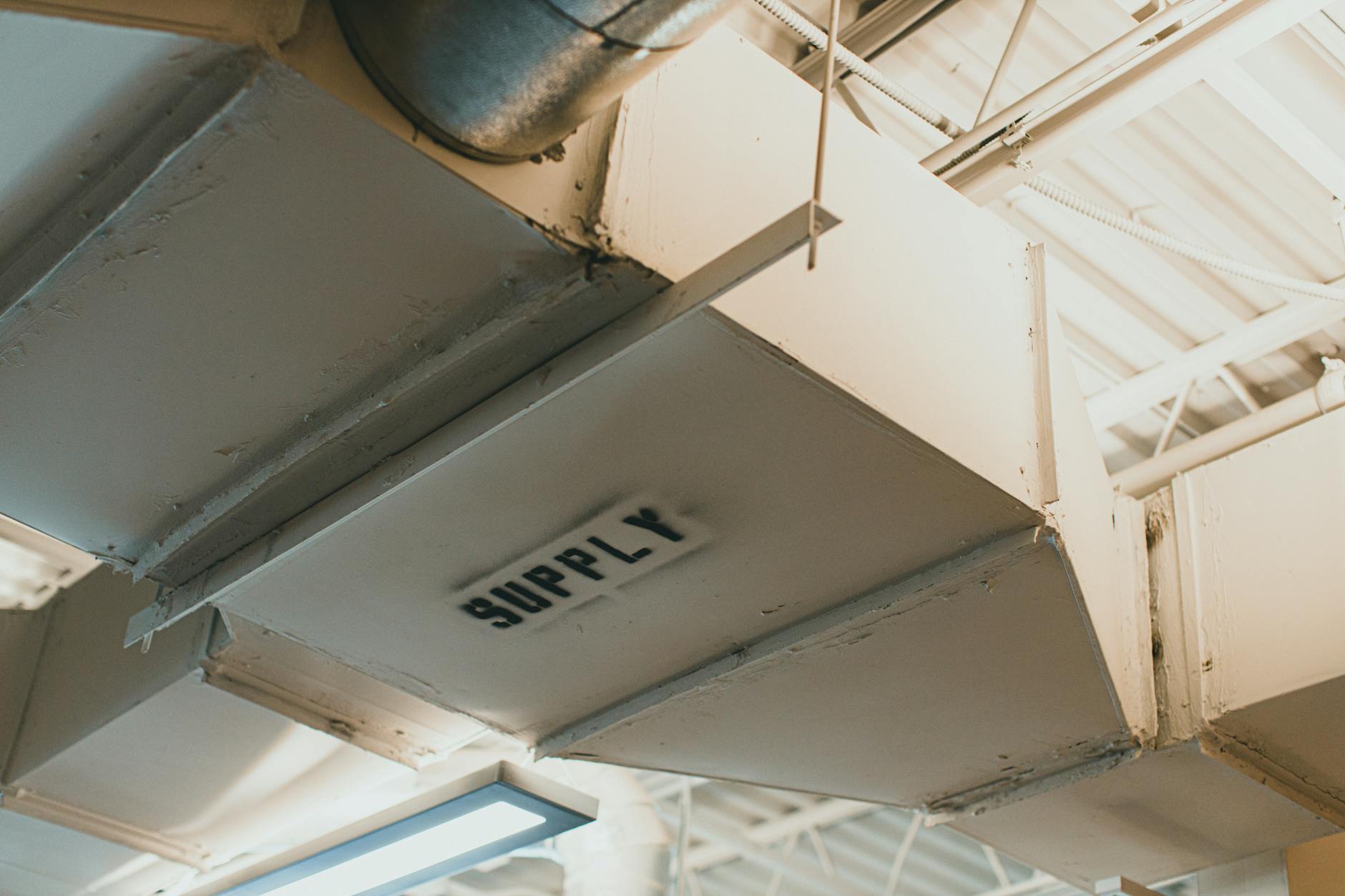Lighting, ventilation, and climate control tailored for art