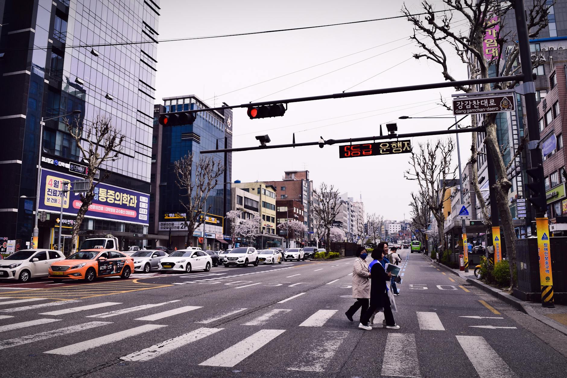 Plan a Walkable Route Across Central Districts for Easy Bar-Hopping