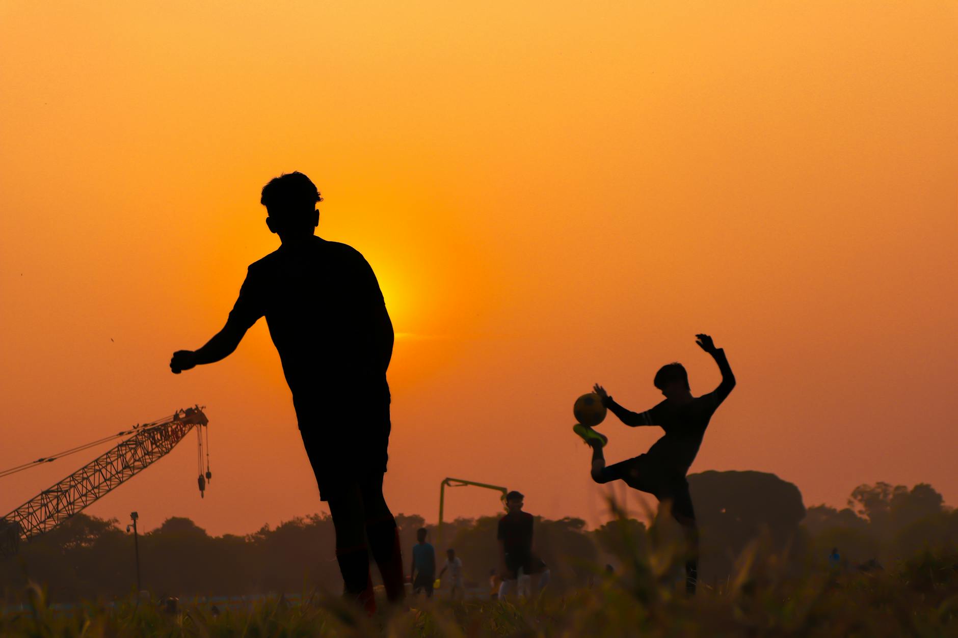Lighting Play: Golden Hour, Fog, and Backlit Silhouettes