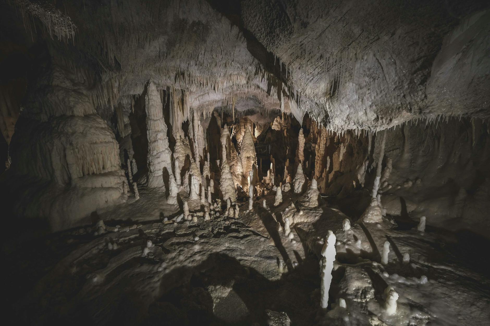 Cenote types: open, semi-open, and cave varieties