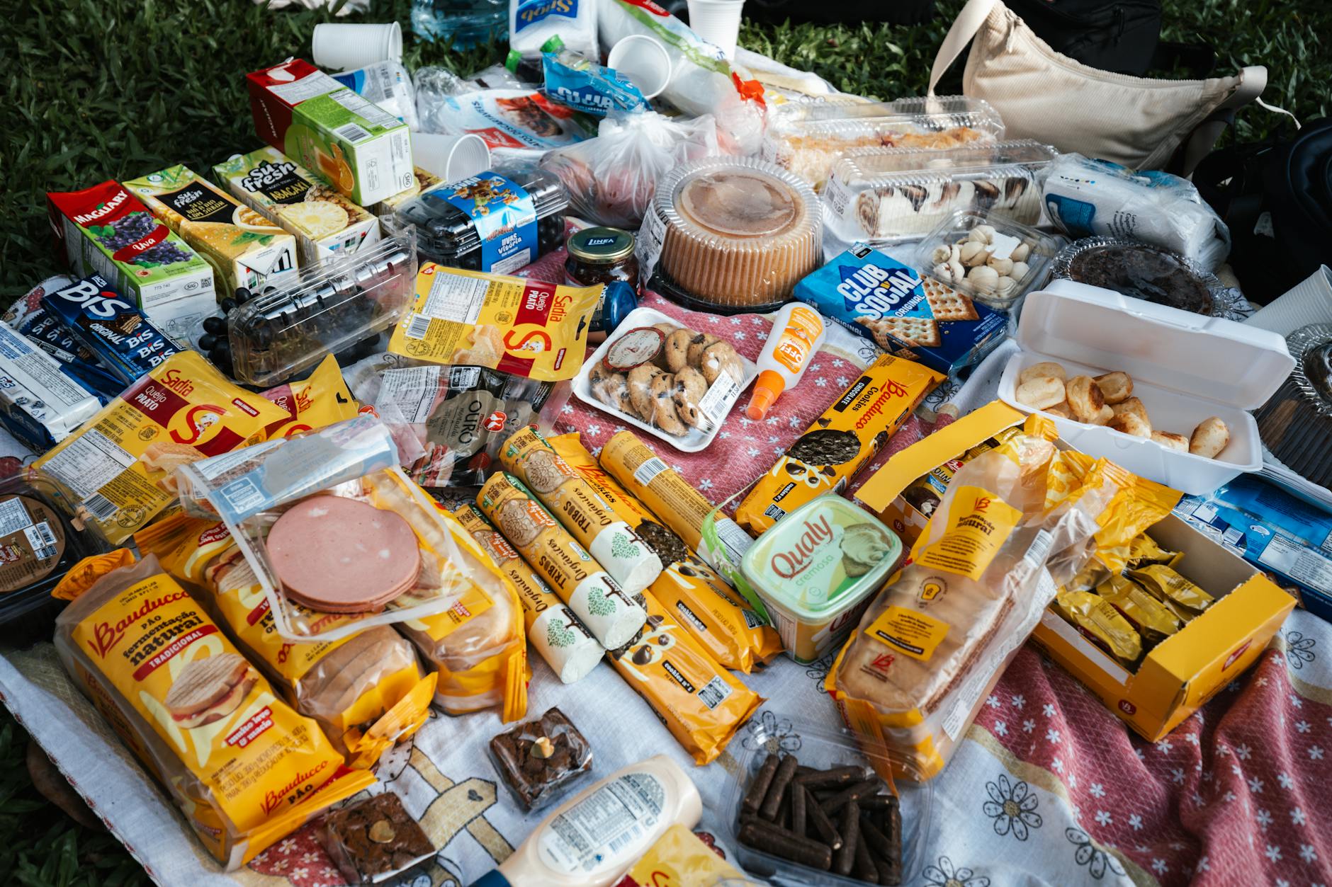 Groceries and Dining Out: Budget ranges and tips