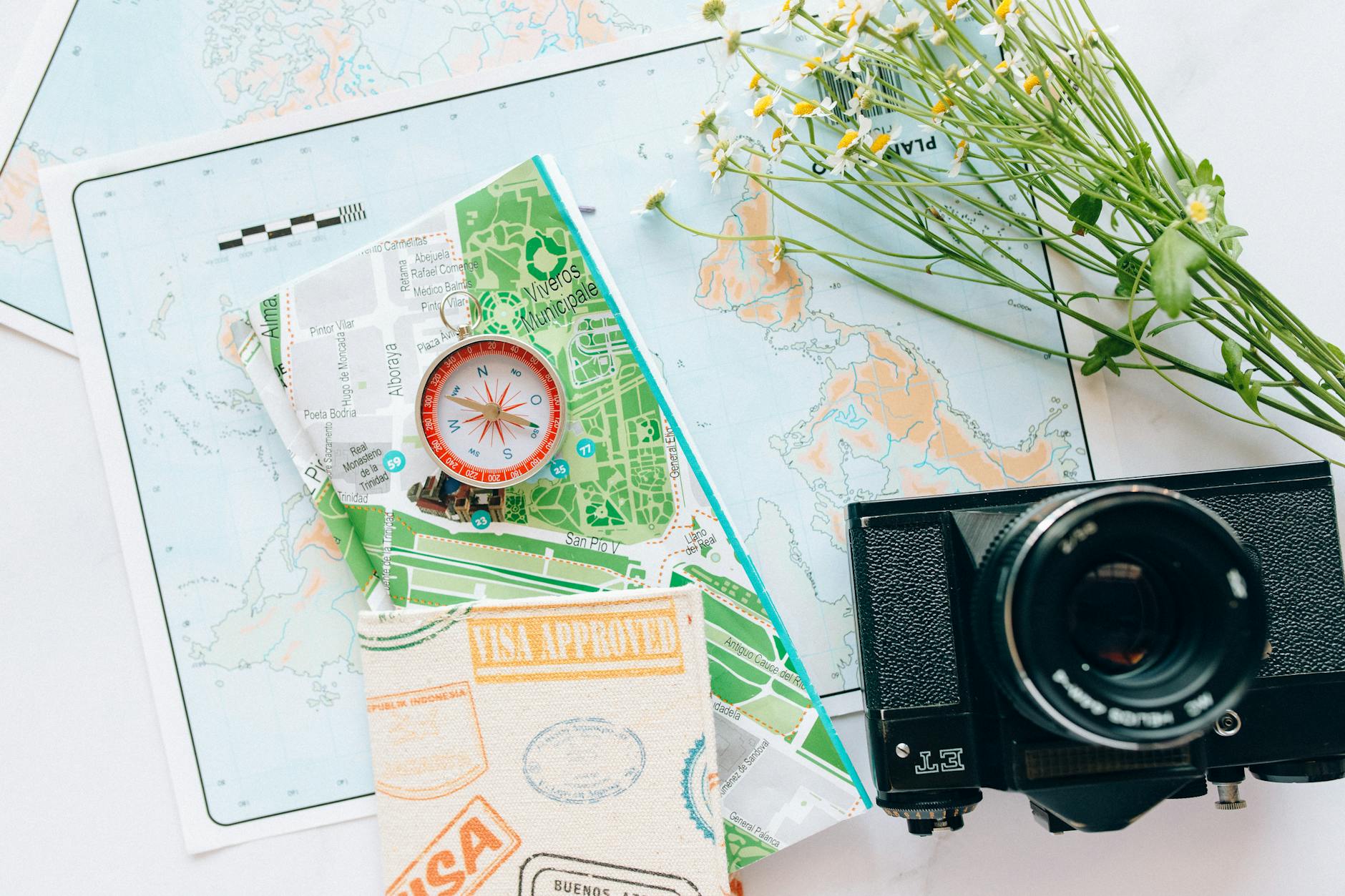 international travel navigation 2025