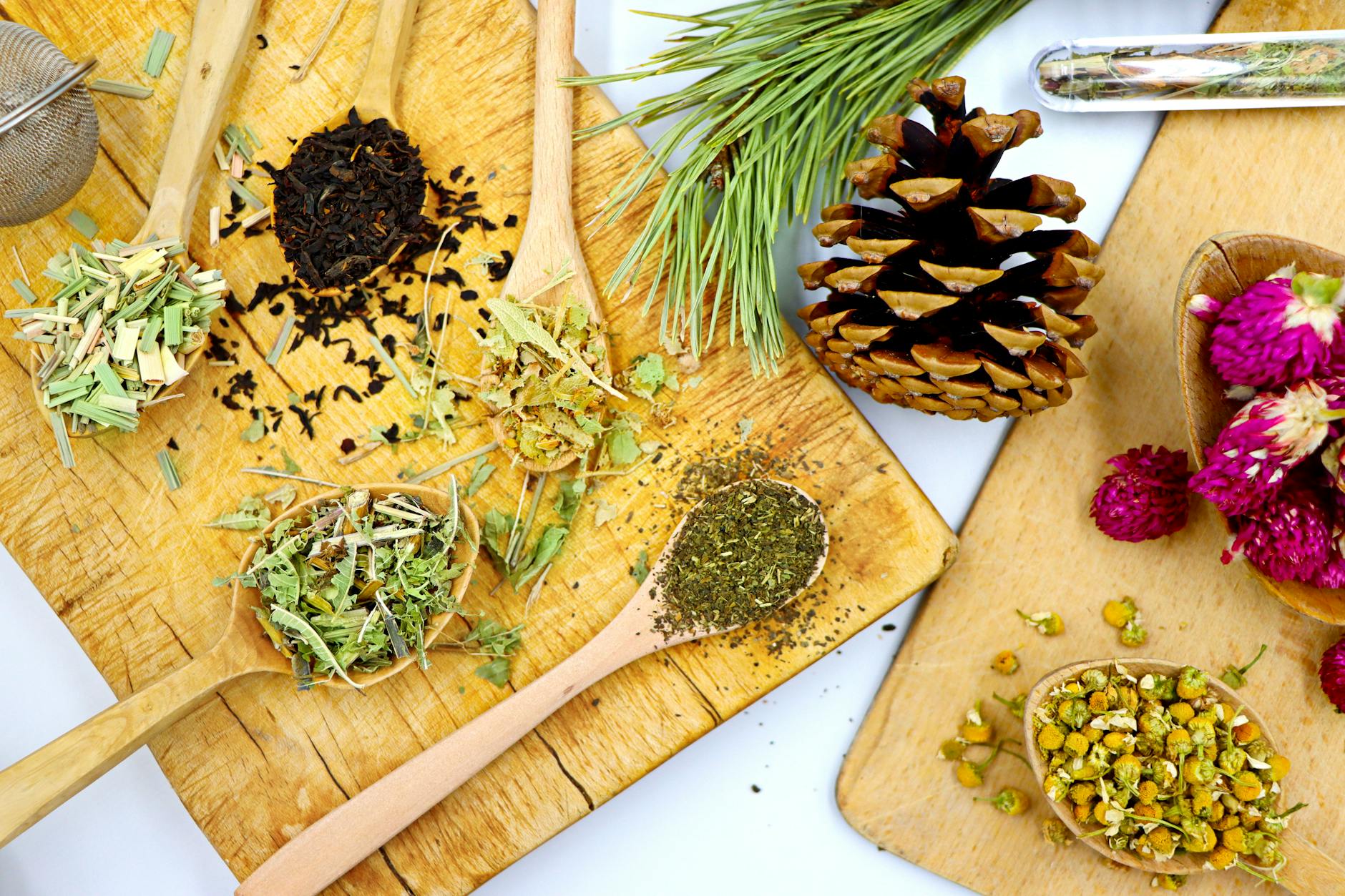 best teas for beginners