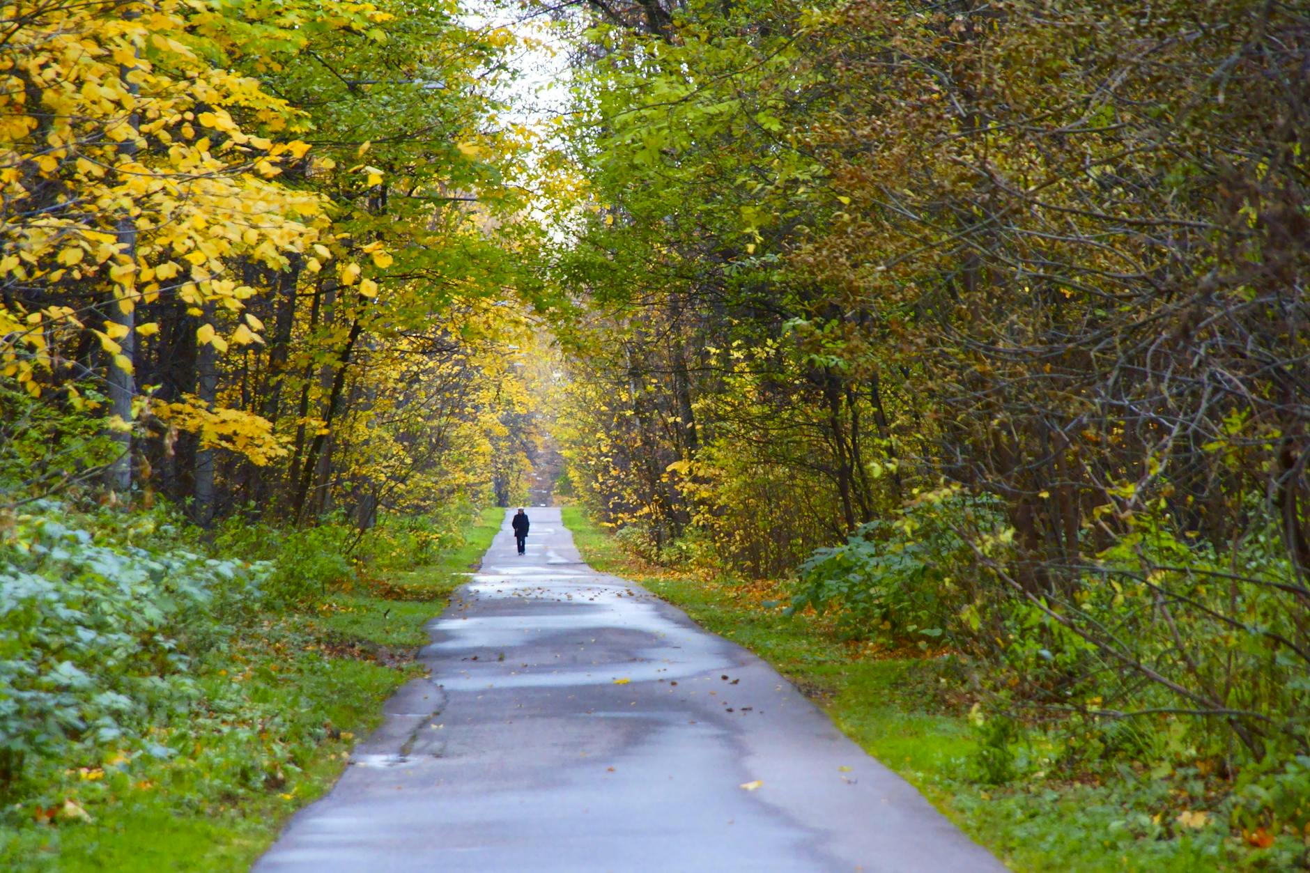 Practical Guide to Moscow's Parks and Outdoor Spaces