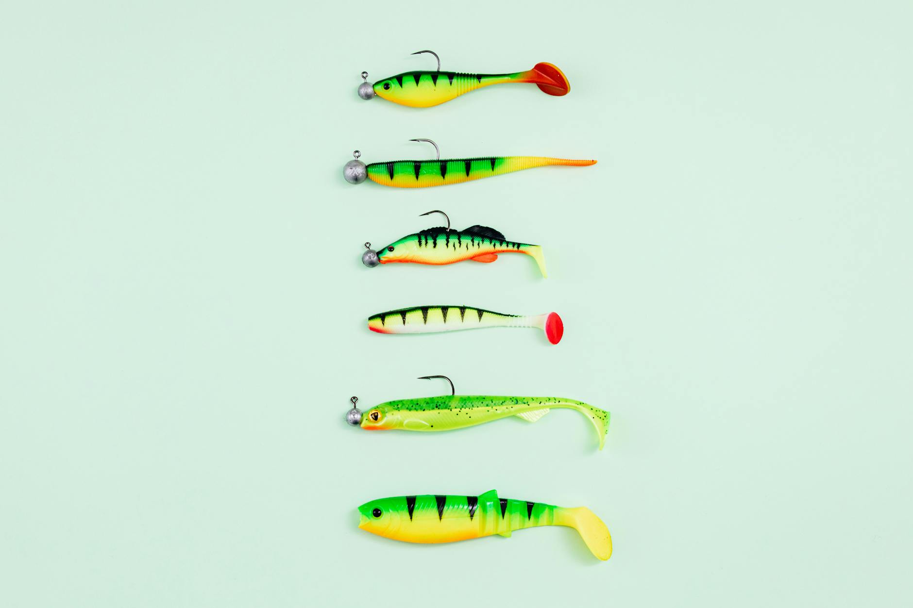 Bait and Lure Selection for Popular Russian Species