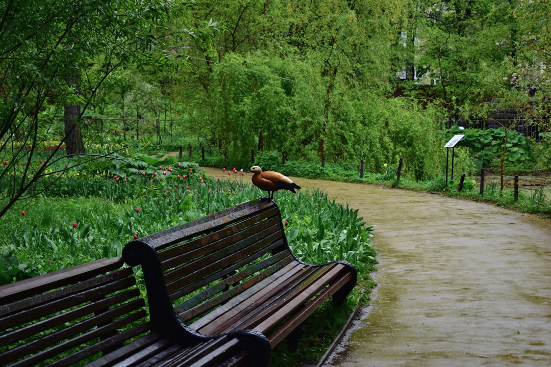 Shade and seating: benches, shade, and visit timing