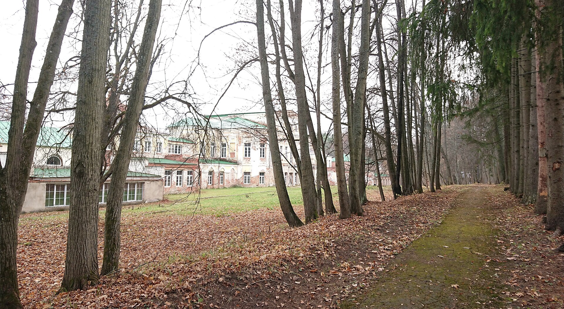 Аллея парка в Михайловском, за деревьями главный дом