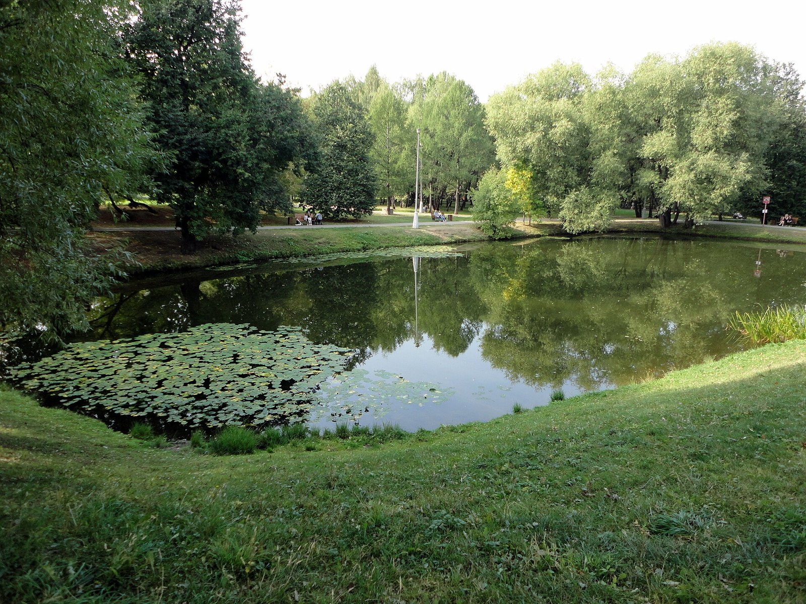 Зимний каток в парке