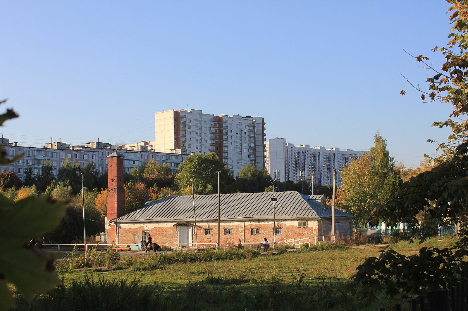 Вид на усадьбу от проспекта