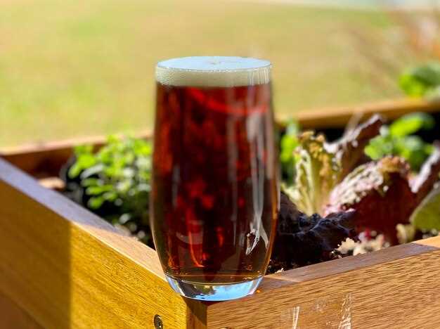 Must-Try Beers from Moscow's 16 Best Breweries