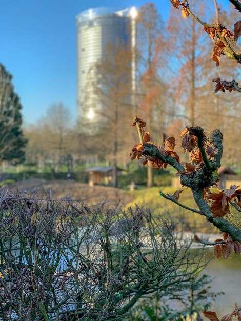 Top Autumn Parks with Colorful Foliage