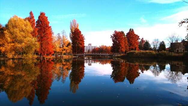 Moscow Fall Scenery Guide 2025