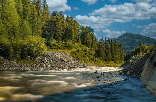 Yenisei River: Salmon Runs and Surrounding Riparian Vegetation