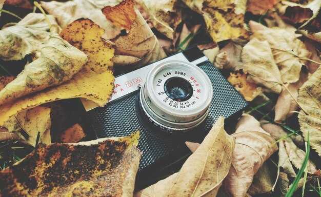 Lenses and Focal Lengths for Different Destinations: Urban Cores vs Open Landscapes