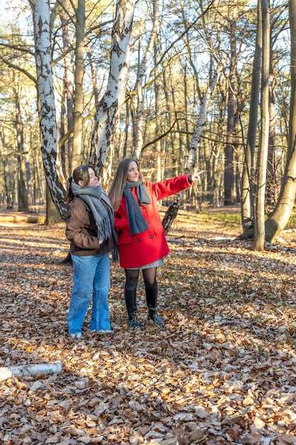 Best Photo Spots and Lighting for Autumn Colors