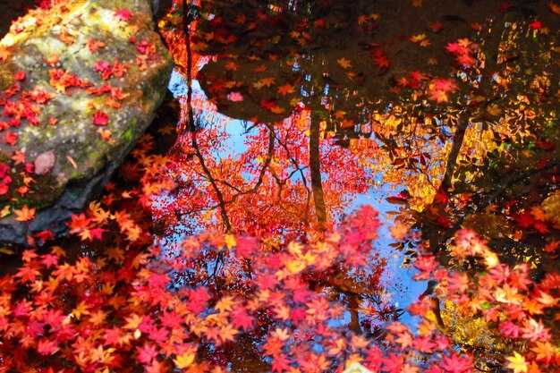 Autumn Travel Logistics: Lodging, Transportation, and Park Passes