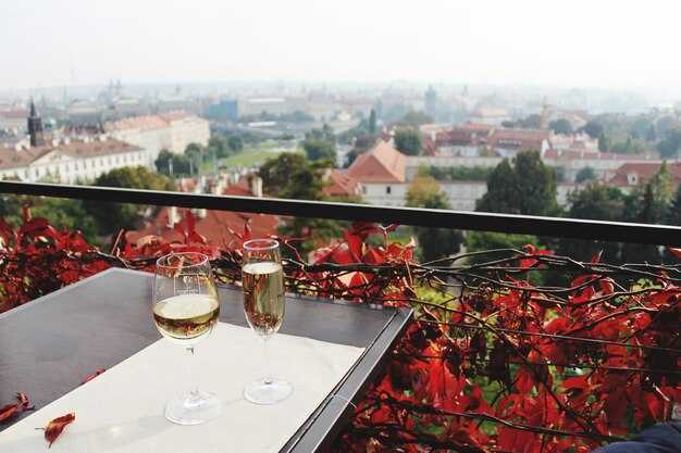 Best Rooftop Restaurants in Moscow with Panoramic Views