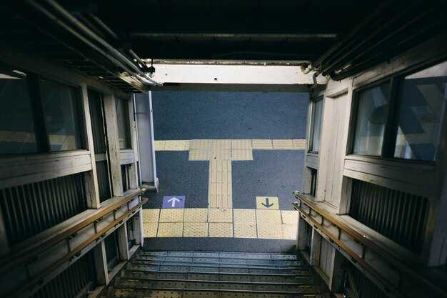 Guides, Language Options, and Audio Materials