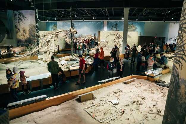 Family & Group Visits: Resources, Activities, and Nearby Highlights