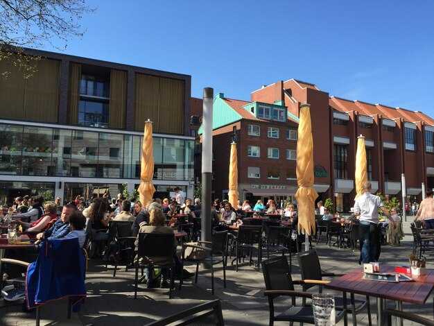 Volunteer pathways: getting involved with CHIS and local events