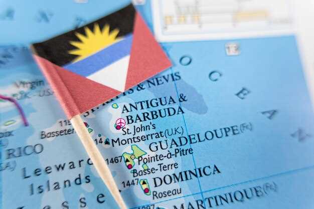 Online Application Form: How to Fill It Out