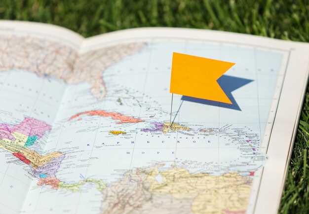 What does a health flag-map represent and which subjects does it cover?